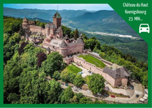 ❊ L'Ecrin Selestadien ❊ Selestat Bagian luar foto